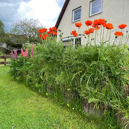 Muesen, Nah An Der Apartment